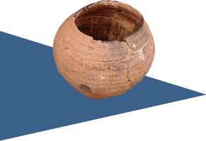 Site-Museu-Universitario12