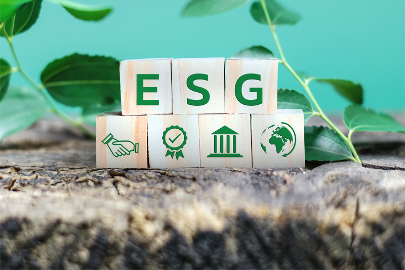 esg-abbreviation-on-wooden-cubes-with-green-leaves-2